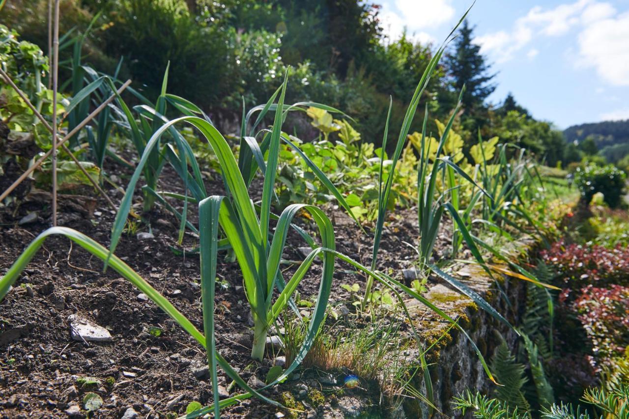 The Conscious Farmer Bed And Breakfast Sauerland Willingen  Exterior foto