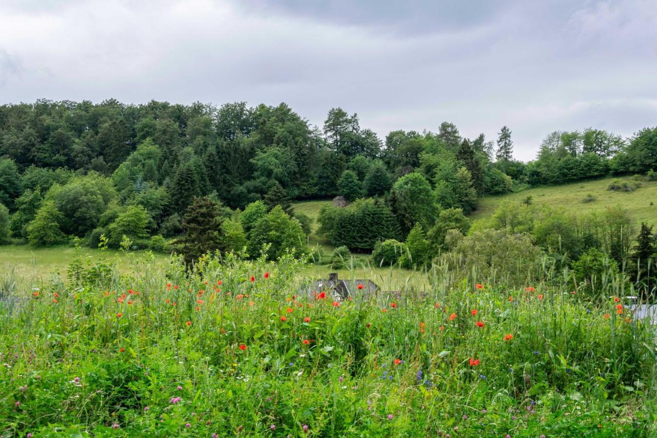 The Conscious Farmer Bed And Breakfast Sauerland Willingen  Exterior foto