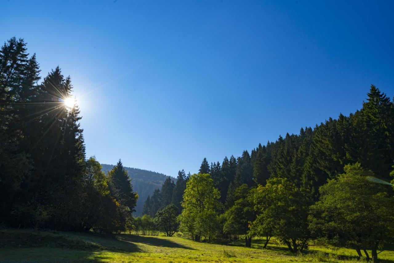 The Conscious Farmer Bed And Breakfast Sauerland Willingen  Exterior foto